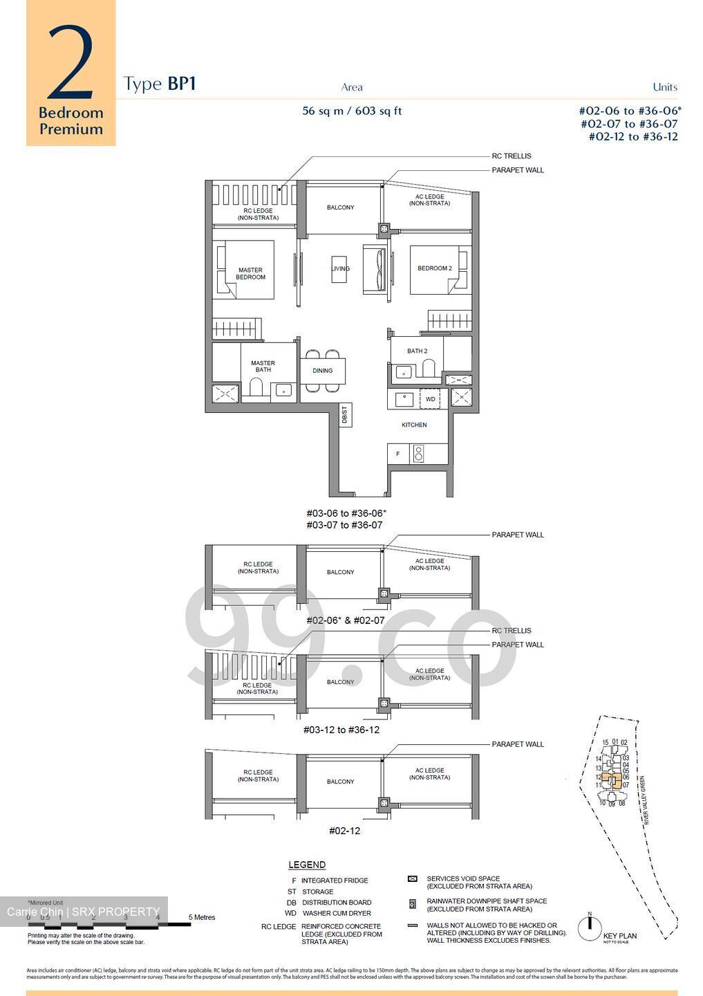 River Green (D9), Condominium #585044831